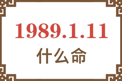 1989年1月11日出生是什么命？