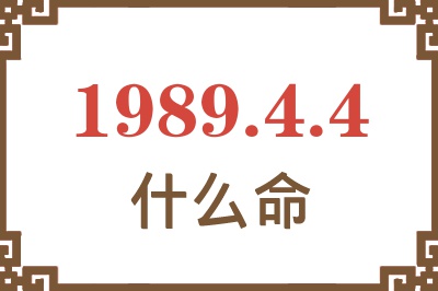 1989年4月4日出生是什么命？