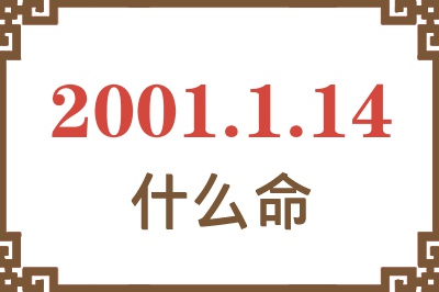 2001年1月14日出生是什么命？