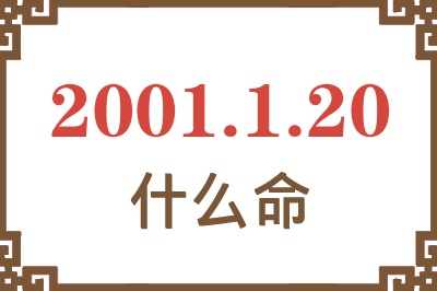 2001年1月20日出生是什么命？