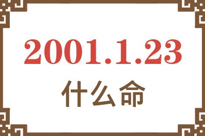 2001年1月23日出生是什么命？