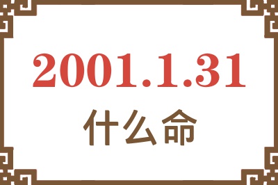 2001年1月31日出生是什么命？