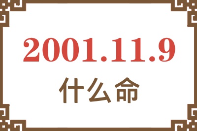 2001年11月9日出生是什么命？