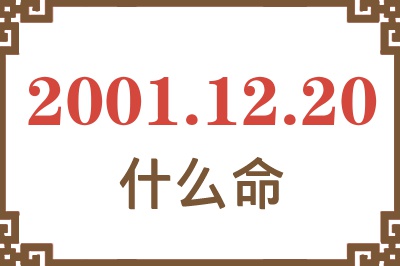 2001年12月20日出生是什么命？