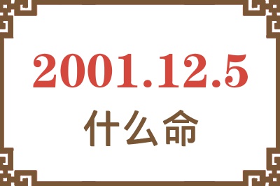 2001年12月5日出生是什么命? 2001年12月5日出生是什么命?