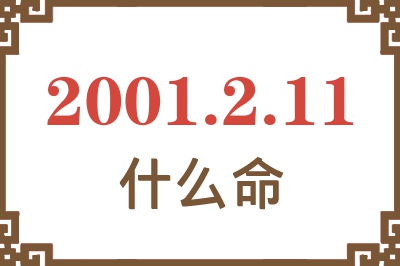 2001年2月11日出生是什么命？