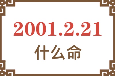 2001年2月21日出生是什么命？