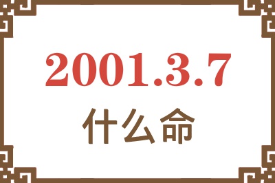 2001年3月7日出生是什么命？