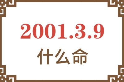 2001年3月9日出生是什么命？