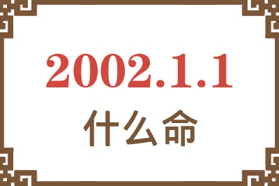 2002年1月1日出生是什么命? 2002年1月1日出生是什么命?