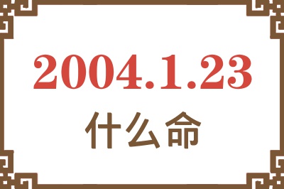 2004年1月23日出生是什么命？