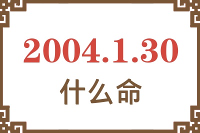 2004年1月30日出生是什么命？