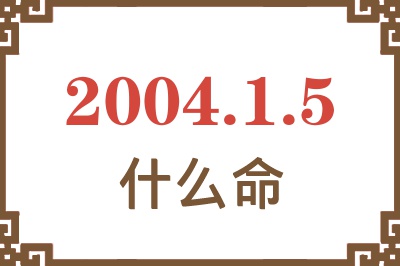 2004年1月5日出生是什么命？