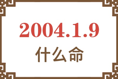 2004年1月9日出生是什么命？