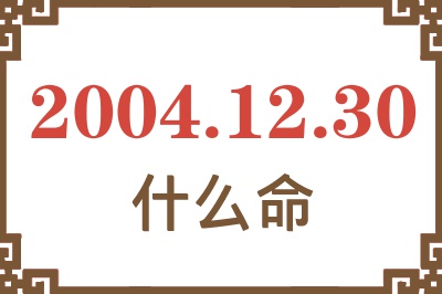 2004年12月30日出生是什么命？