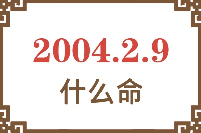 2004年2月9日出生是什么命？