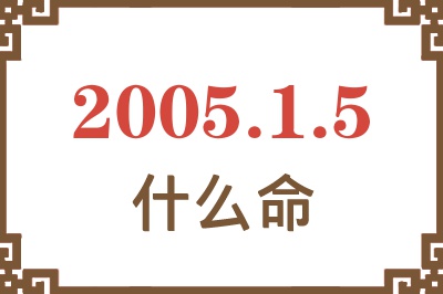 2005年1月5日出生是什么命？