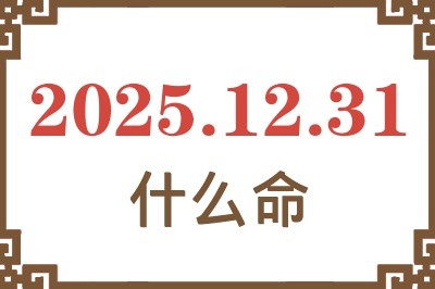 2025年12月31日出生是什么命？